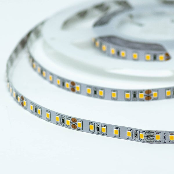 LED-nauha 24V 75W(15W/m) 5000K p&auml;iv&auml;nvalo IP20 5m