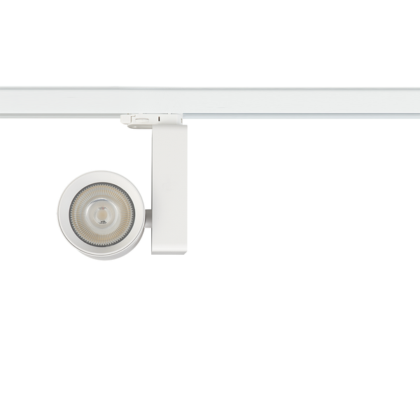Ojo 3-vaihe kiskovalaisin 35W LED 2700K / 4000K valkoinen